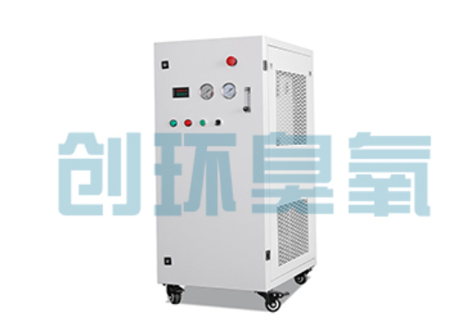 七台河石斑鱼养殖水质调控完整指南：臭氧发生器配置与操作步骤