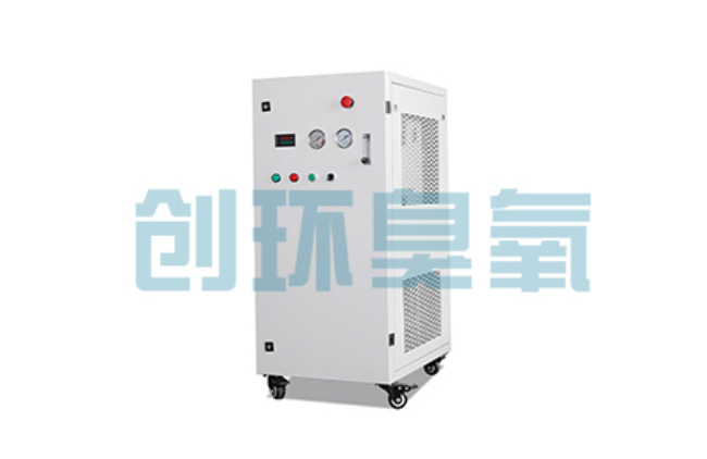 七台河比传统换水更高效？臭氧发生器在石斑鱼养殖中的水质净化原理解析
